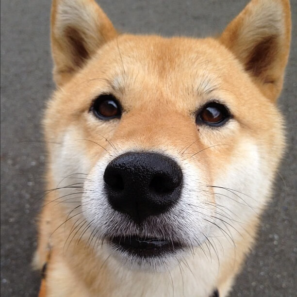 绝杀之光，加维的一脚，完成了自我与整座城市的救赎