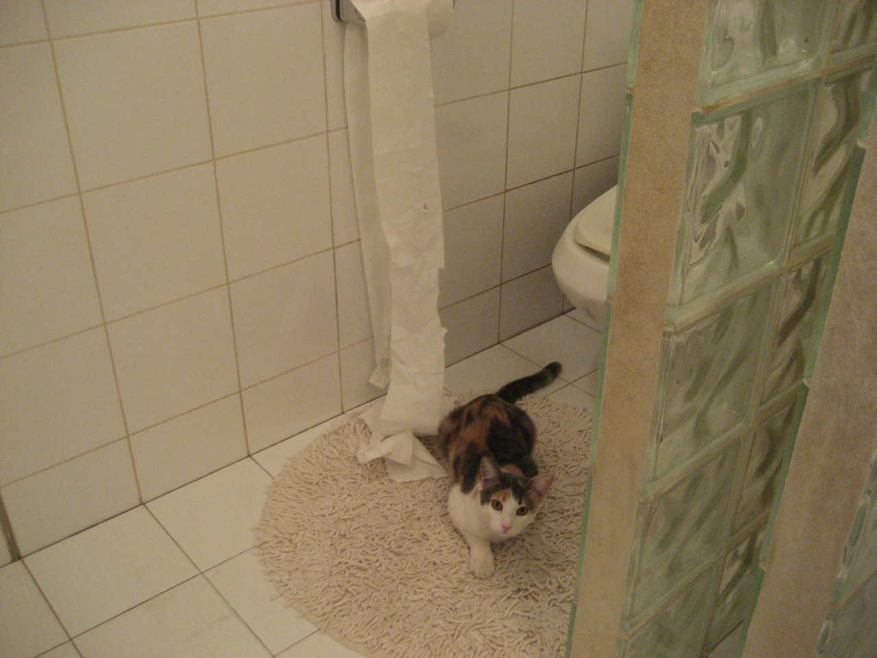 当篮筐如大海,浓眉擎天之夜,西决绝境见证巨星的孤独与光荣