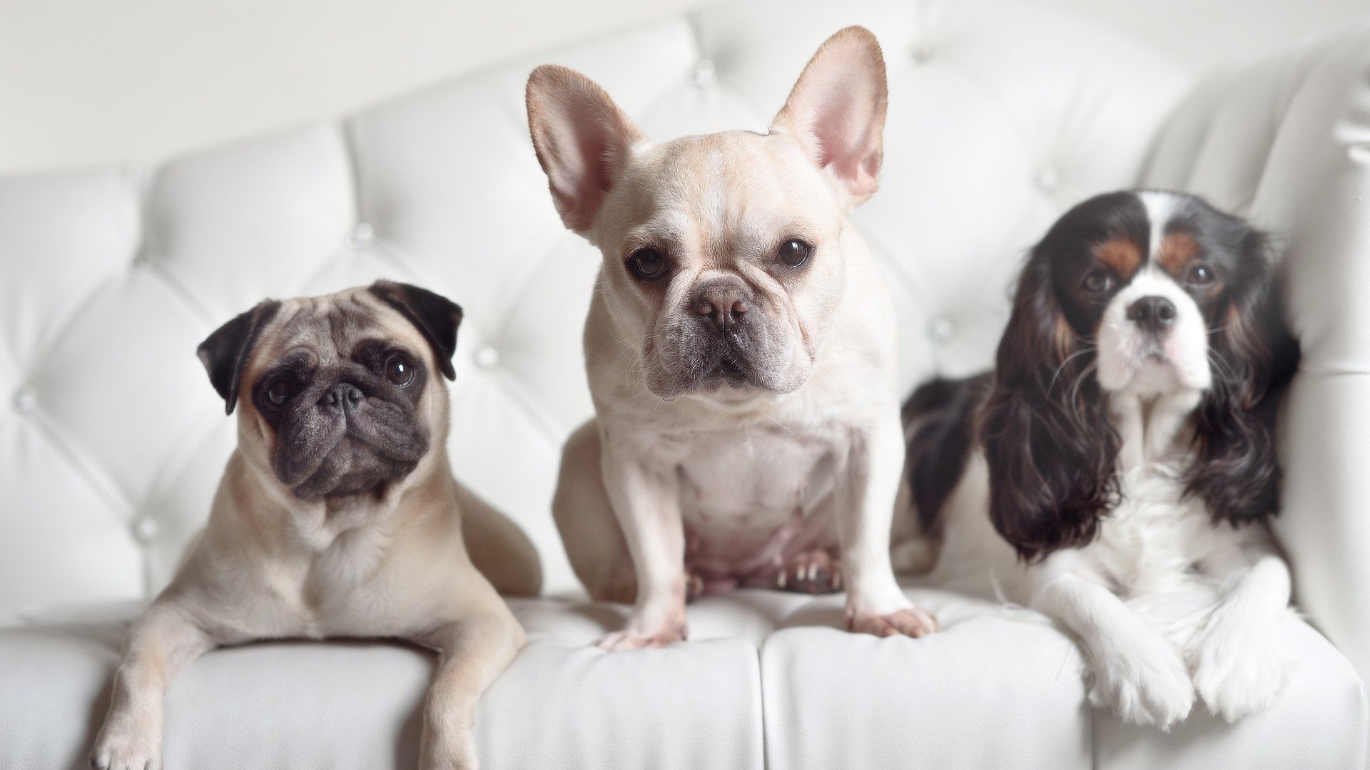 存在感拉满的萨内,巴萨在淘汰赛中力克安哥拉黑马