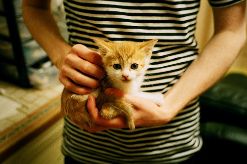 欧冠夜变奏曲，从背锅侠到指挥家，阿拉巴的救赎独幕剧